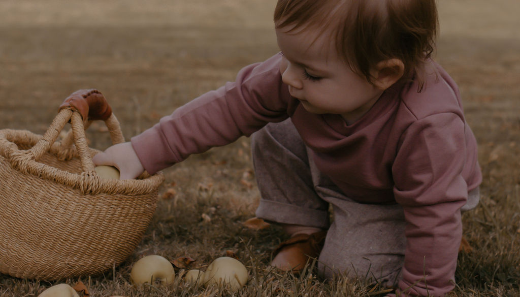 Baby Girl Sweatshirts + Hoodies