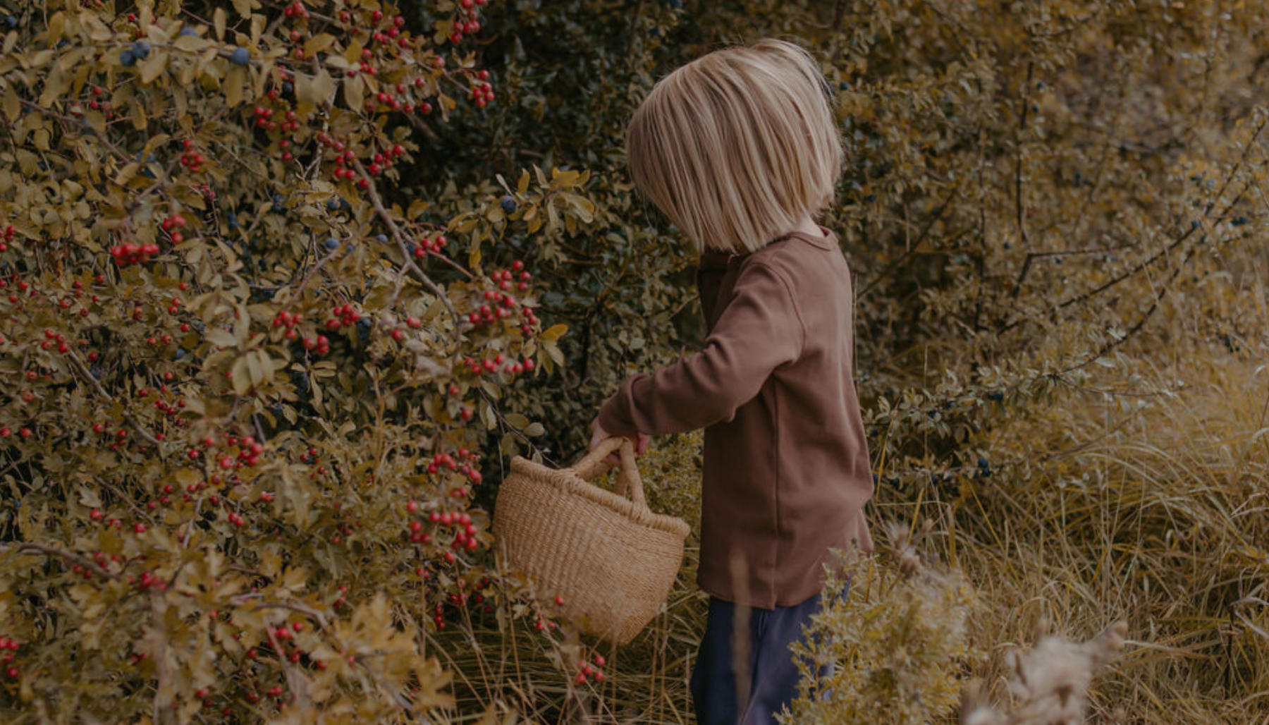boys in organic clothing