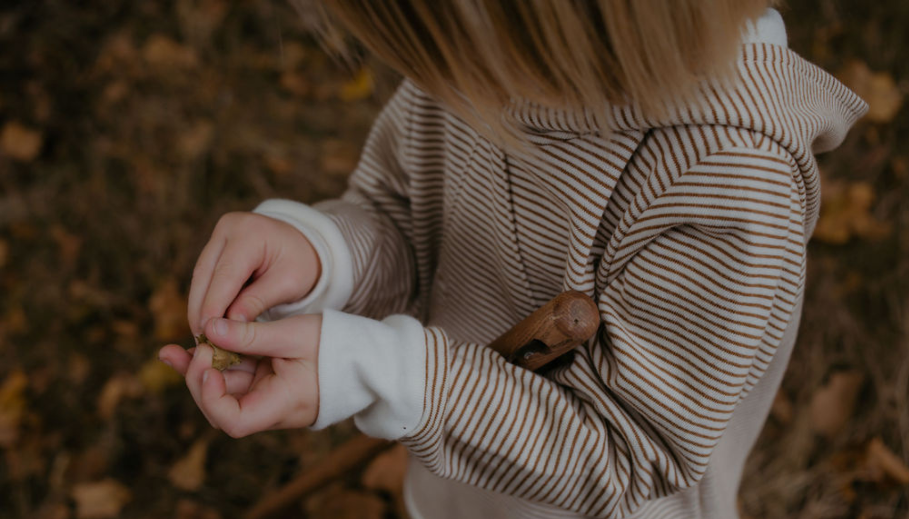 Boy Sweatshirts + Hoodies