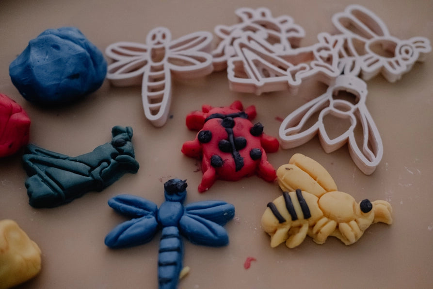 Insect Cutter Set - Eco Playdough Tool
