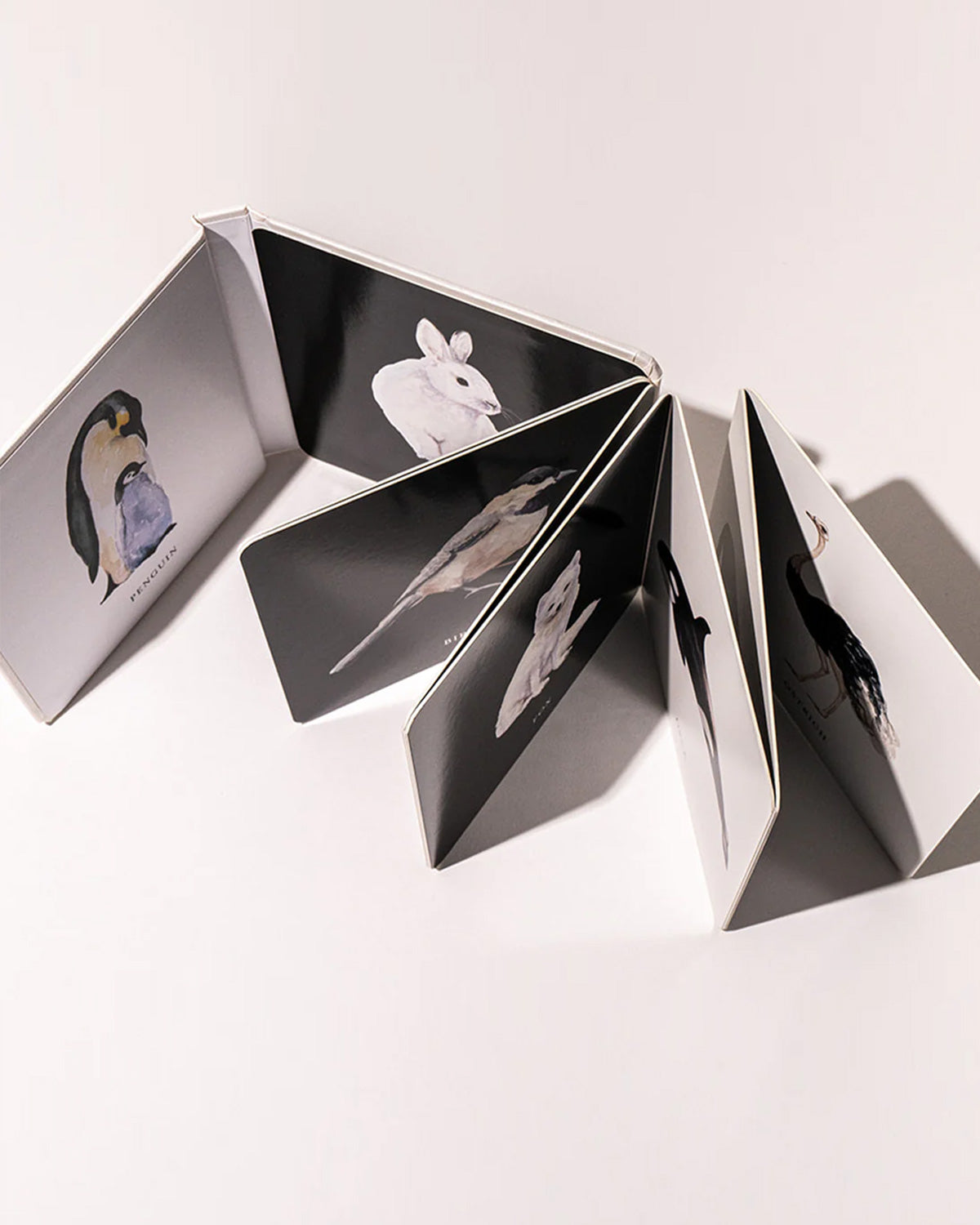 Baby's Black and White Contrast Book