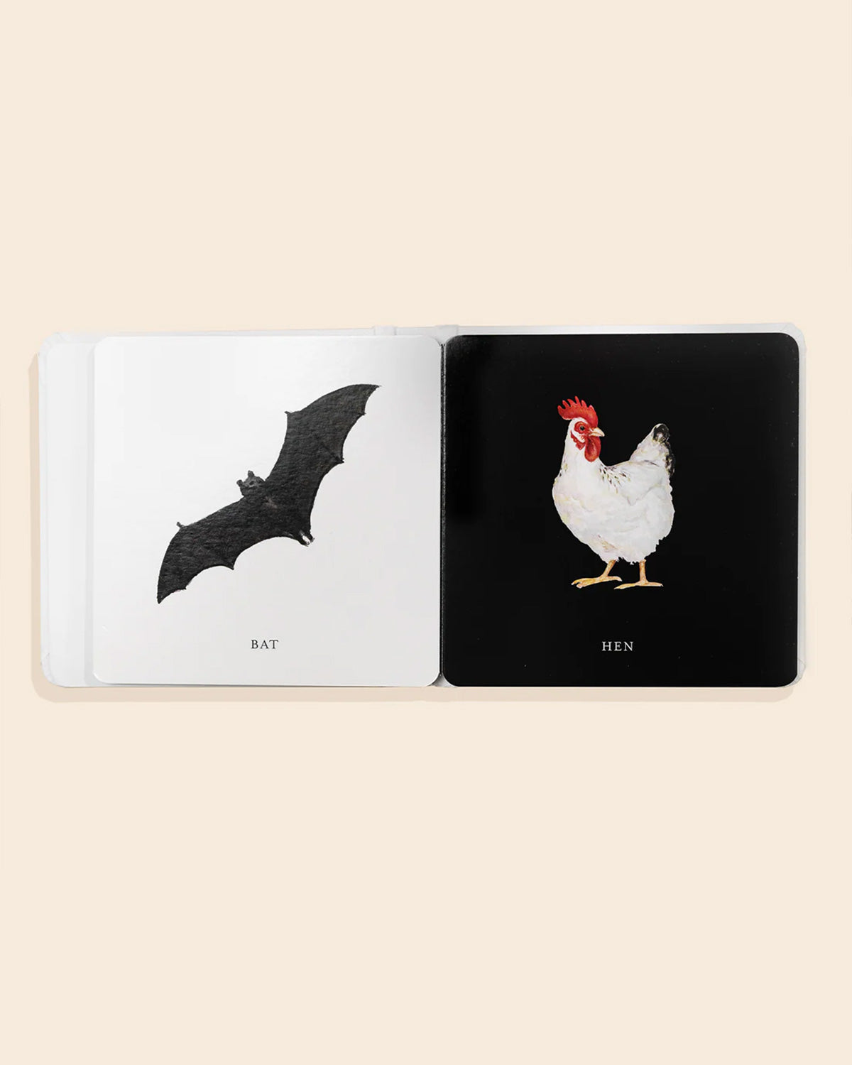 Baby's Black and White Contrast Book