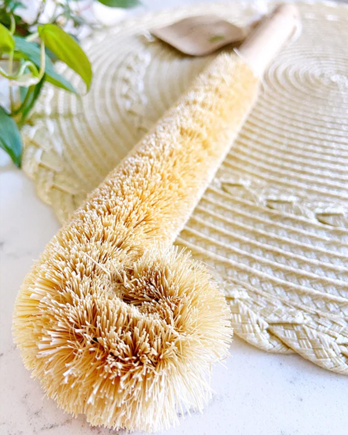 Coconut Bottle Scrub Brush