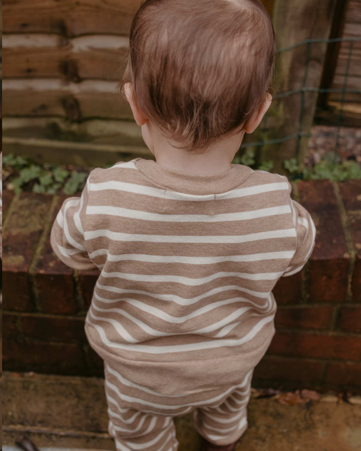 Baby Crewneck