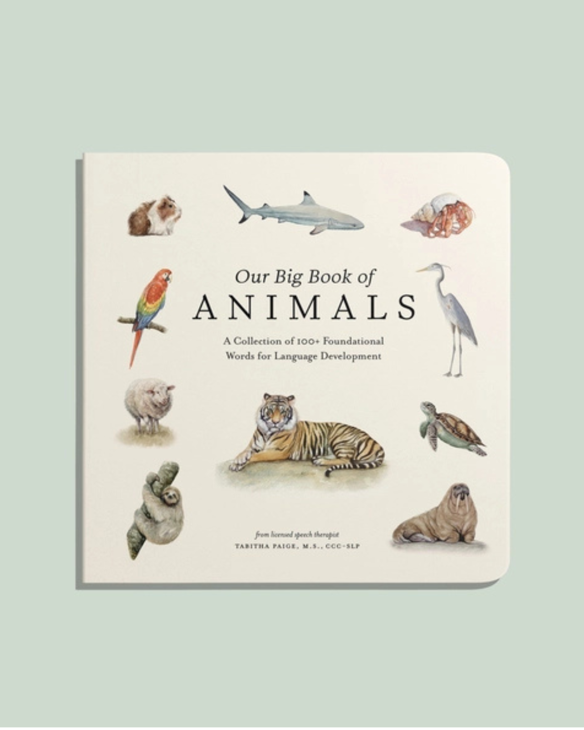 Our Big Book of Animals