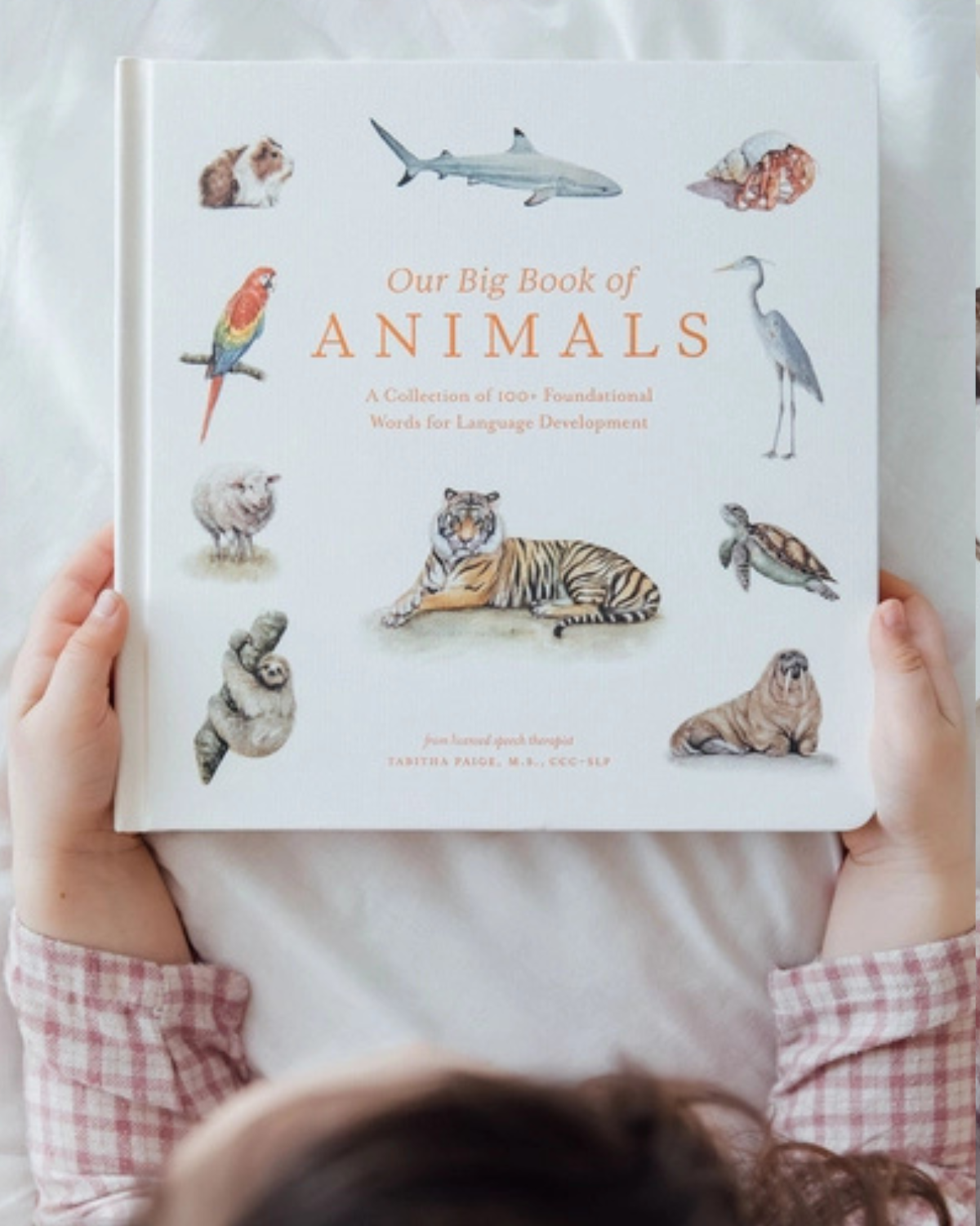 Our Big Book of Animals
