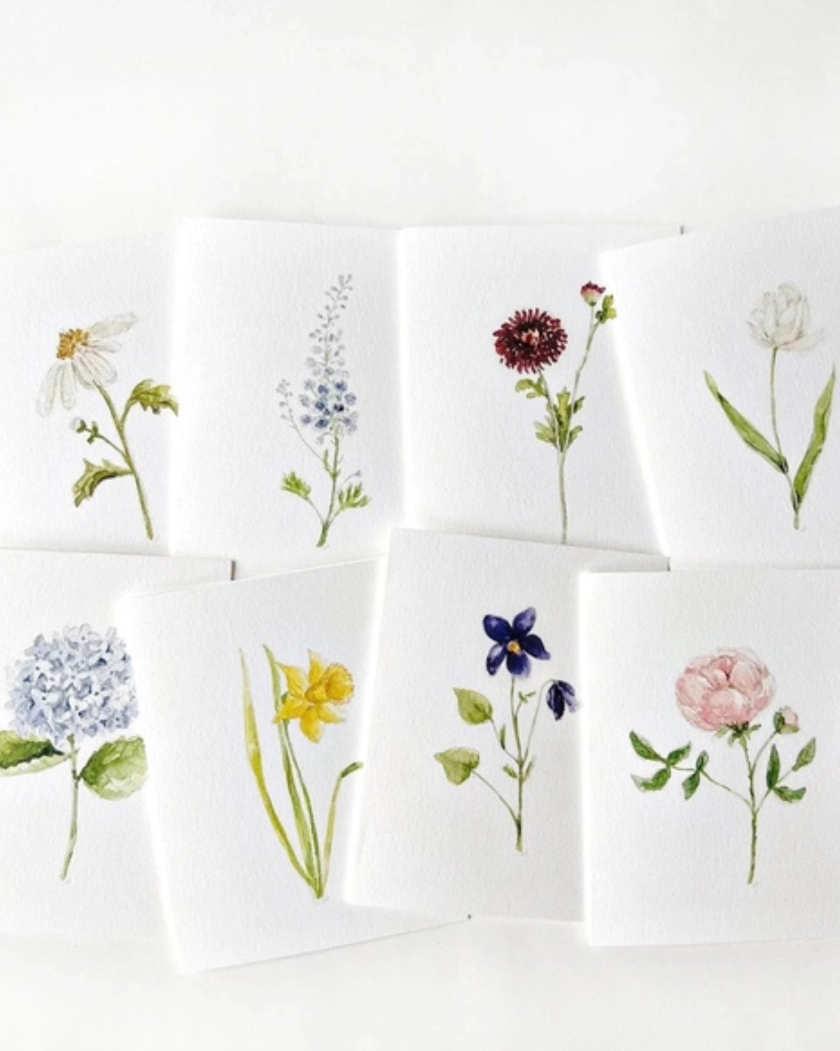 Garden Flowers Notecard Set