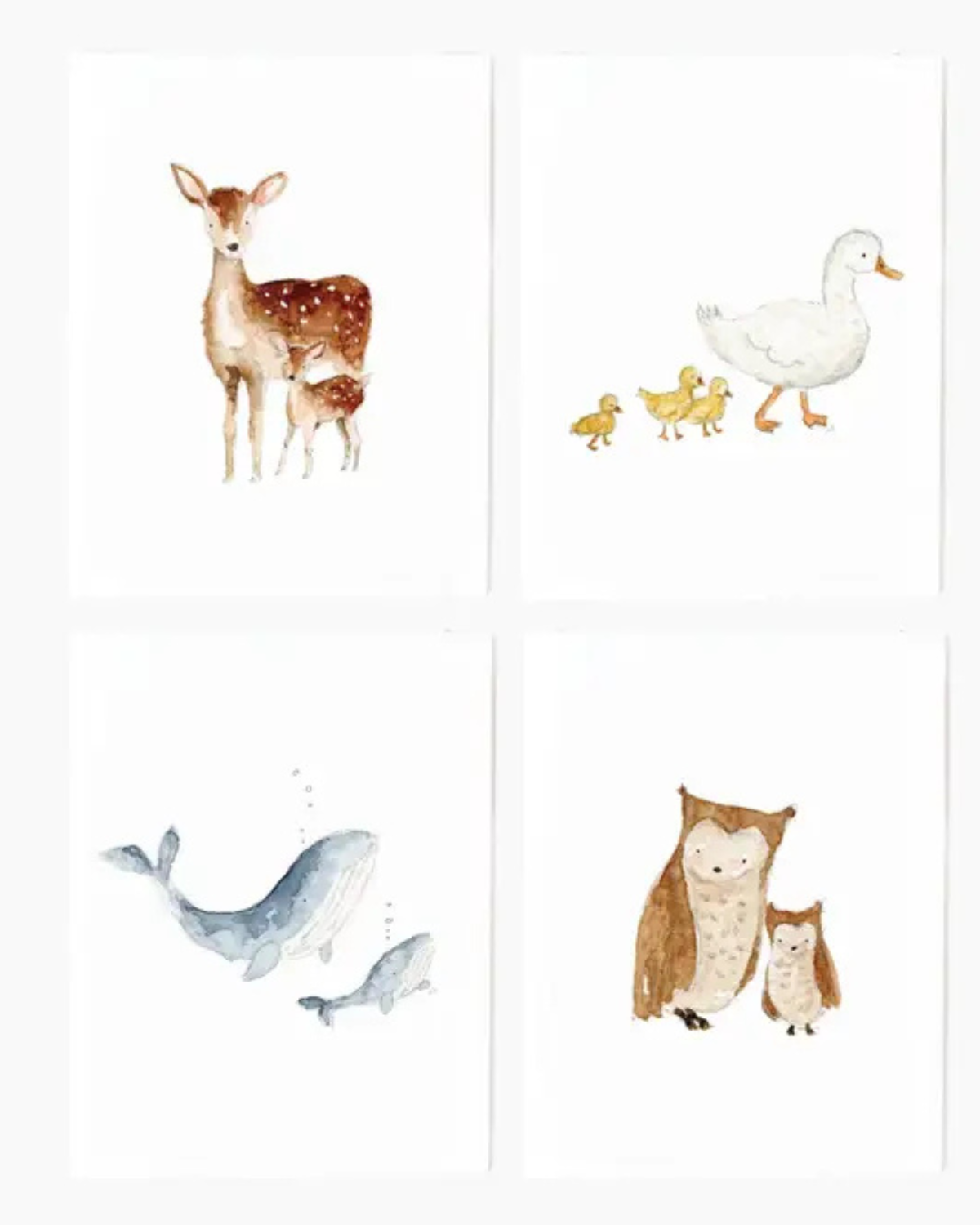 Mama & Baby assorted notecard set