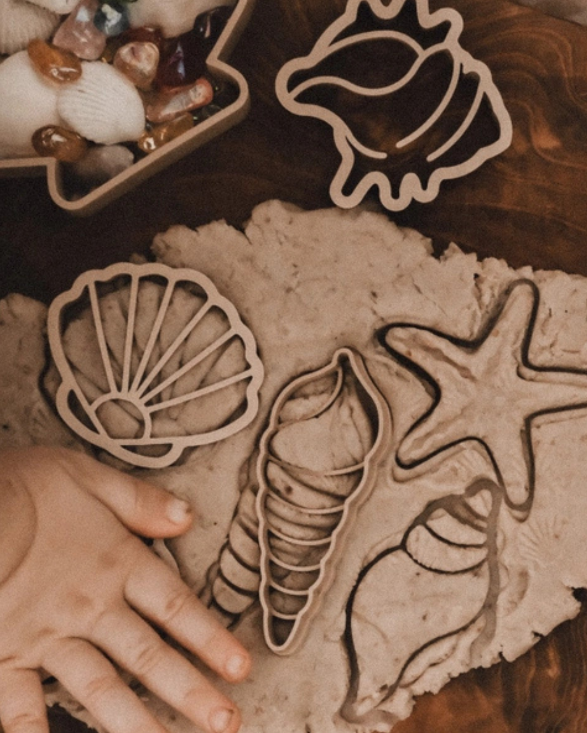 Sea Shell Eco Cutter Set