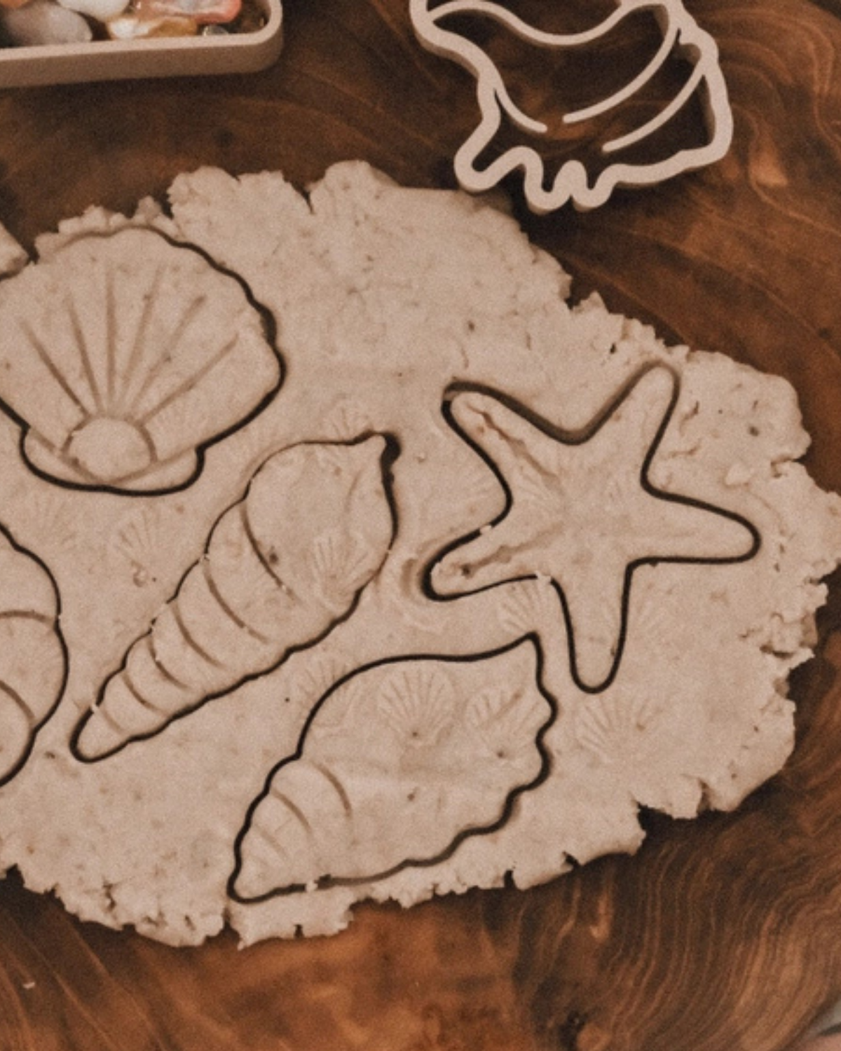 Sea Shell Eco Cutter Set