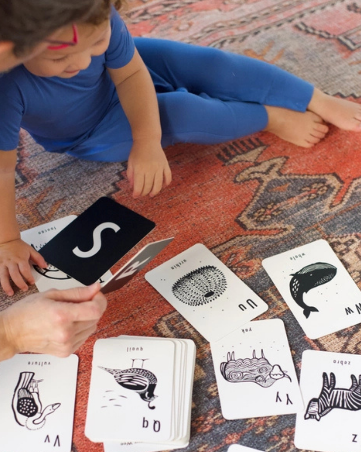 Animal Alphabet Cards - ABC learning <br>Wee Gallery