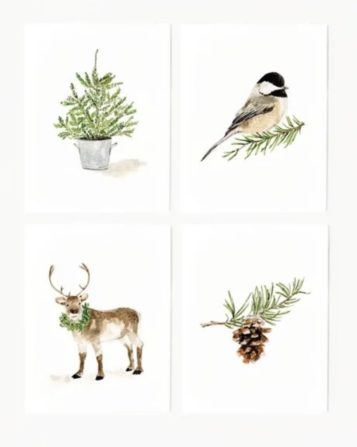 Evergreen Christmas Assorted Notecards