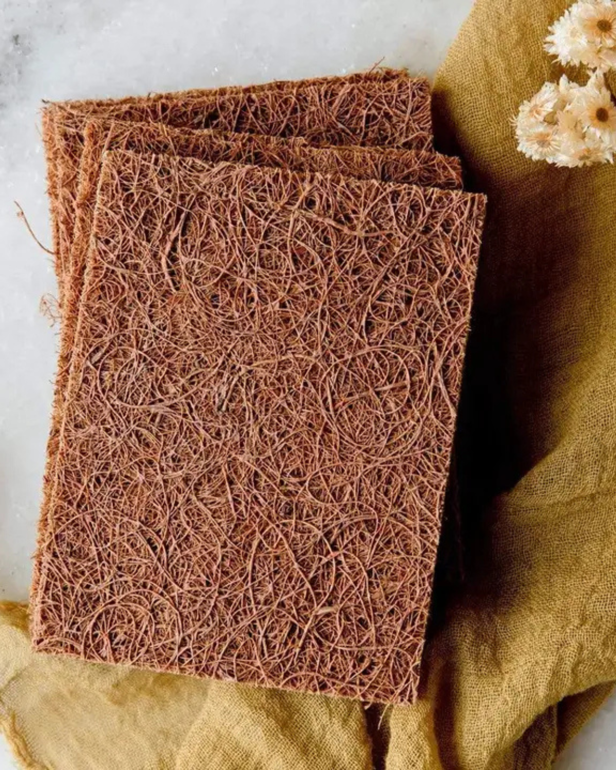 Biodegradable Coconut Kitchen Scourers- 5 Pack, Plastic Free