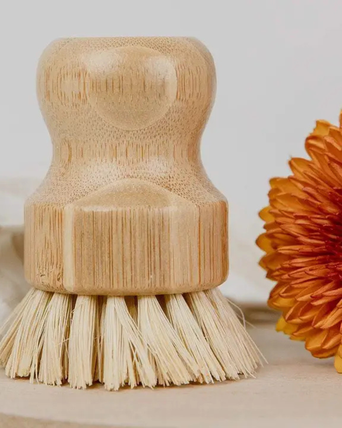 Short Handled Dish Brush