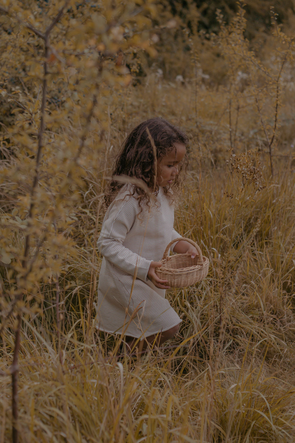 French Terry Pullover Dress