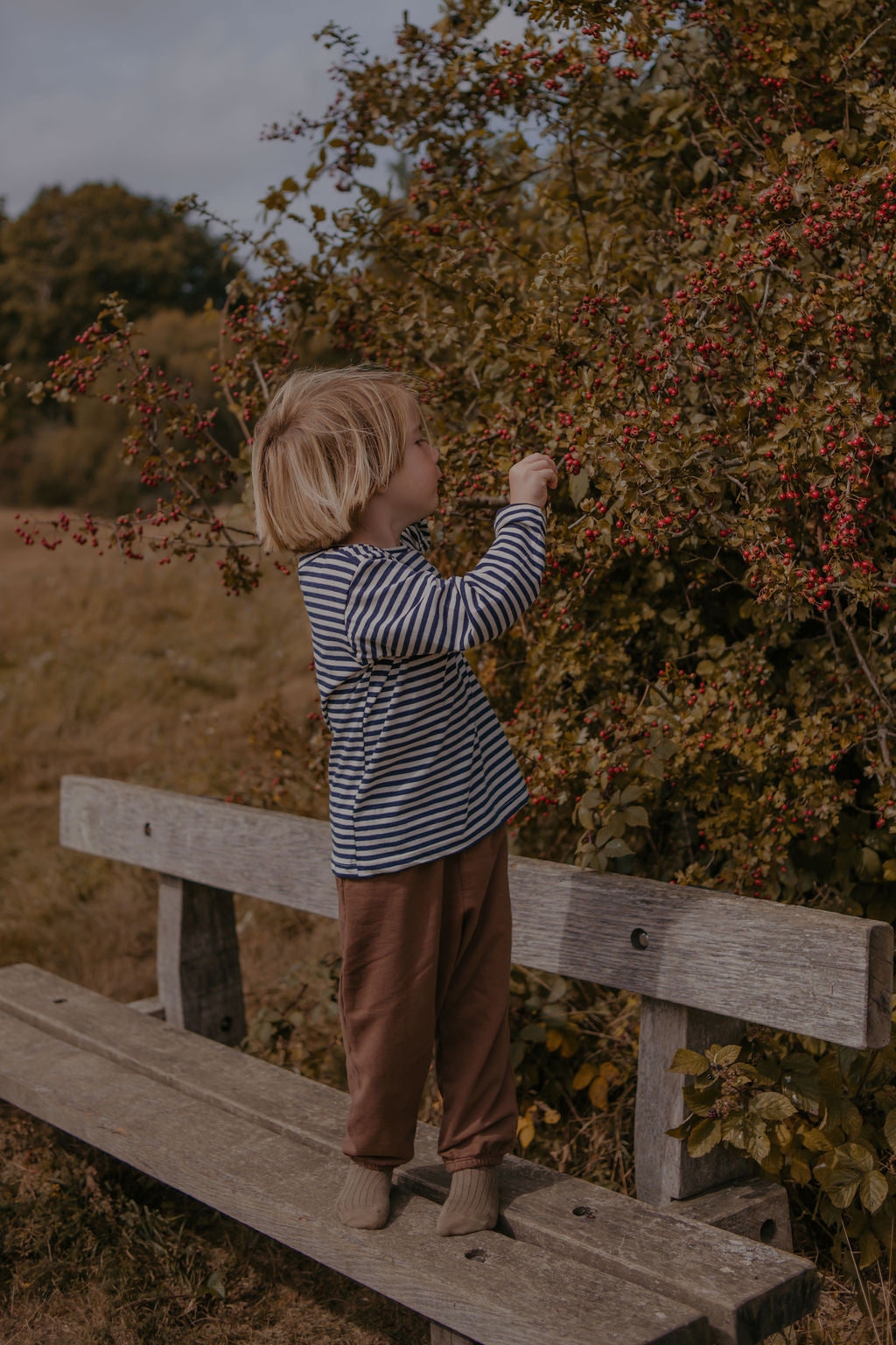 Child standing on a wooden bench in a natural setting with trees and grass.
