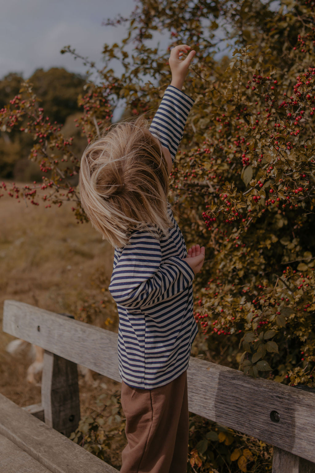 Baby Navy Stripe Long Sleeve Tee