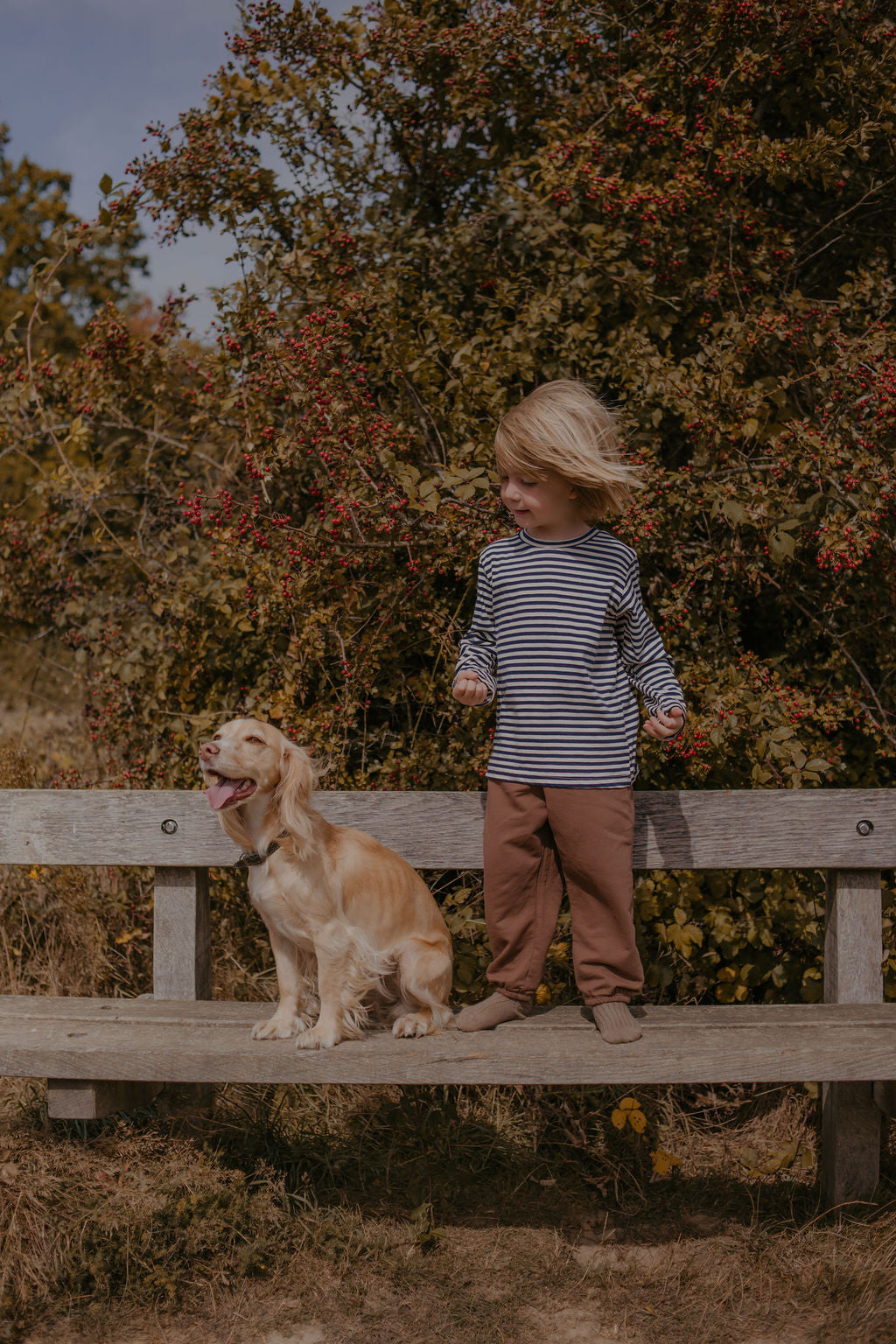 Child standing on a wooden bench with a dog in an outdoor setting