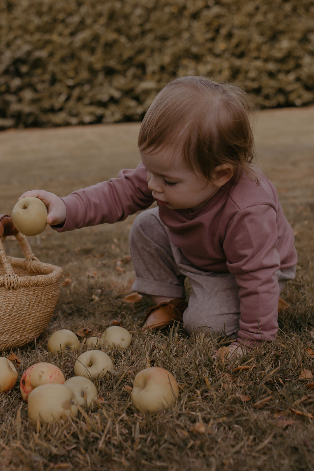 Baby French Terry Crewneck