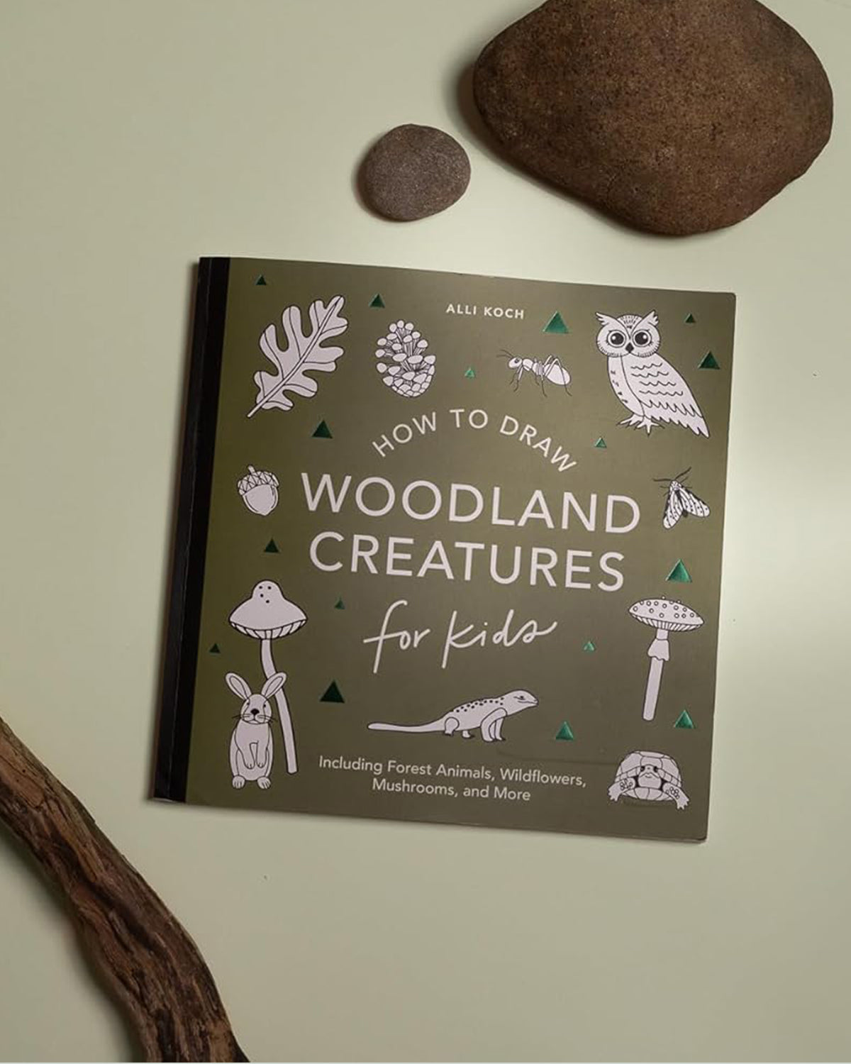 How to Draw Woodland Creatures