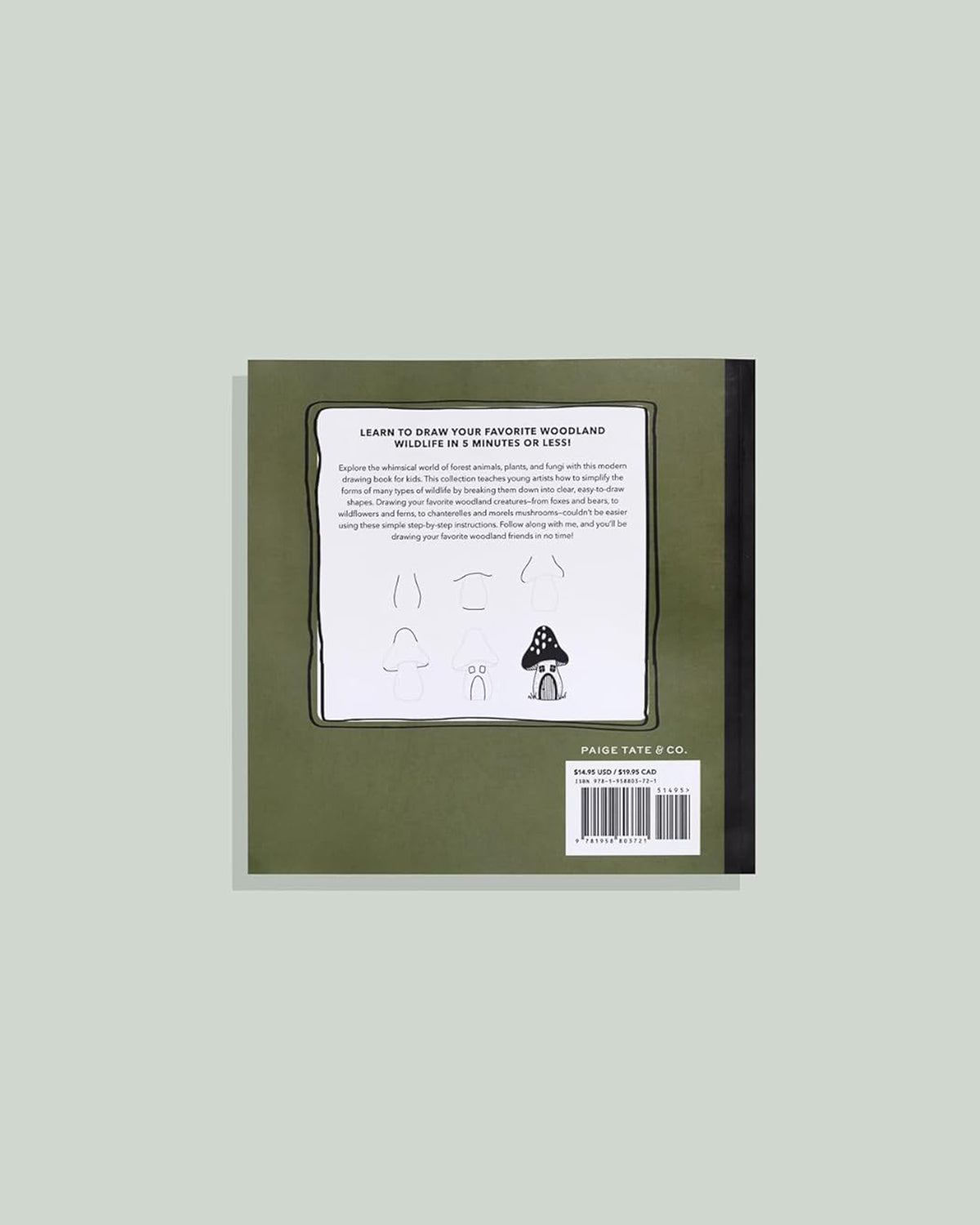 How to Draw Woodland Creatures