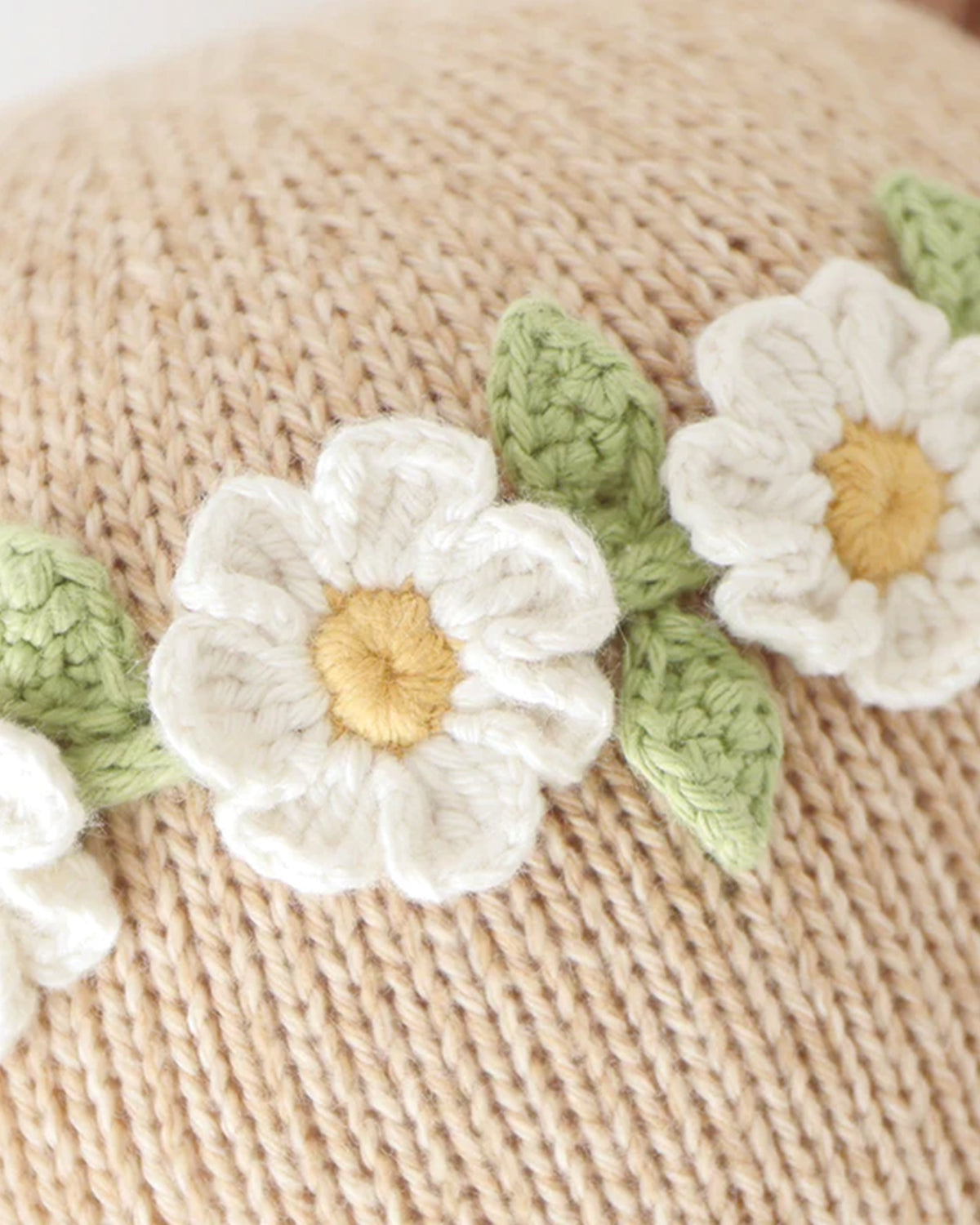 Olivia the honey bear <br> Cuddle + Kind