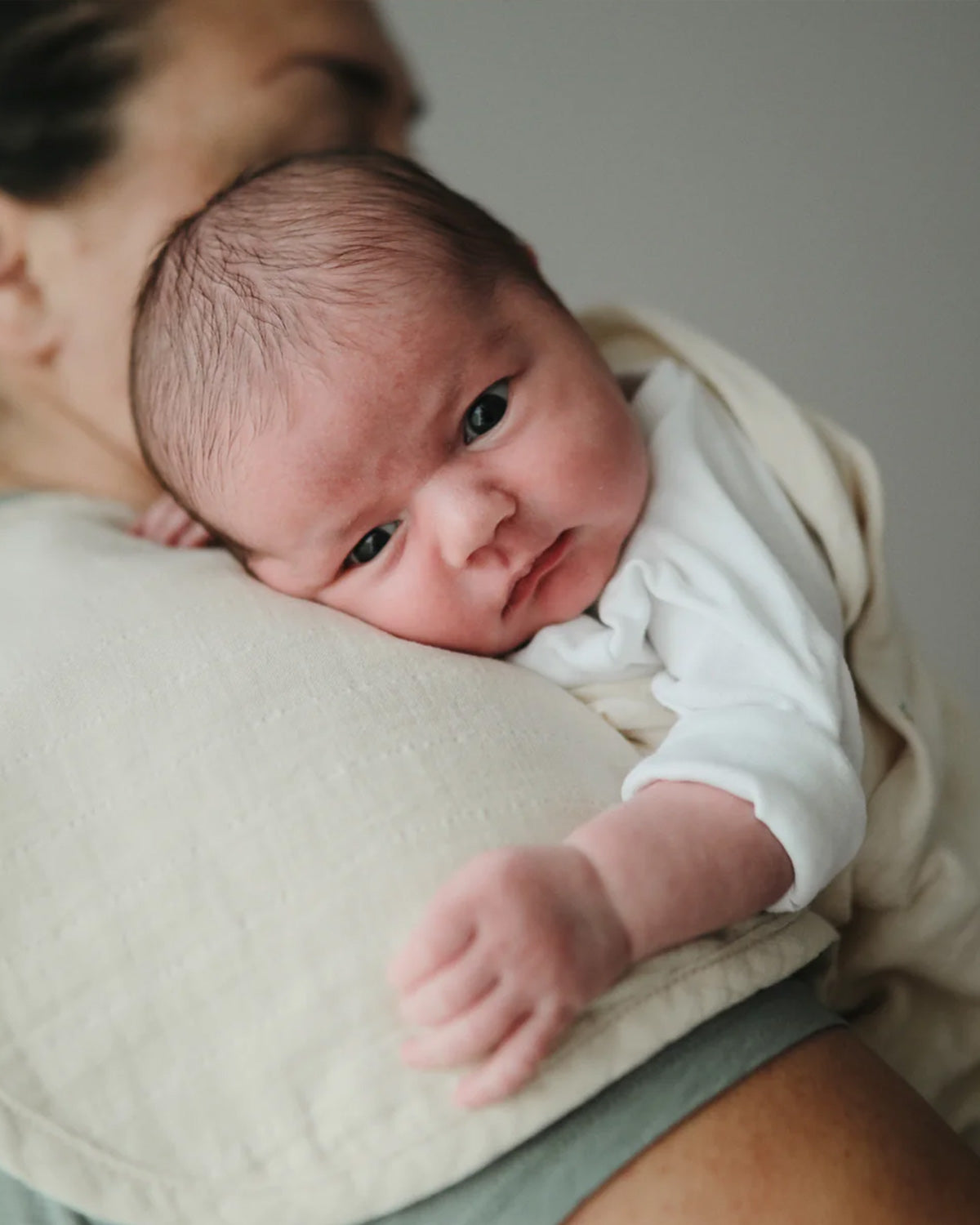 Organic Cotton Muslin Burp Cloth 2-Pack - Natural / Fog
