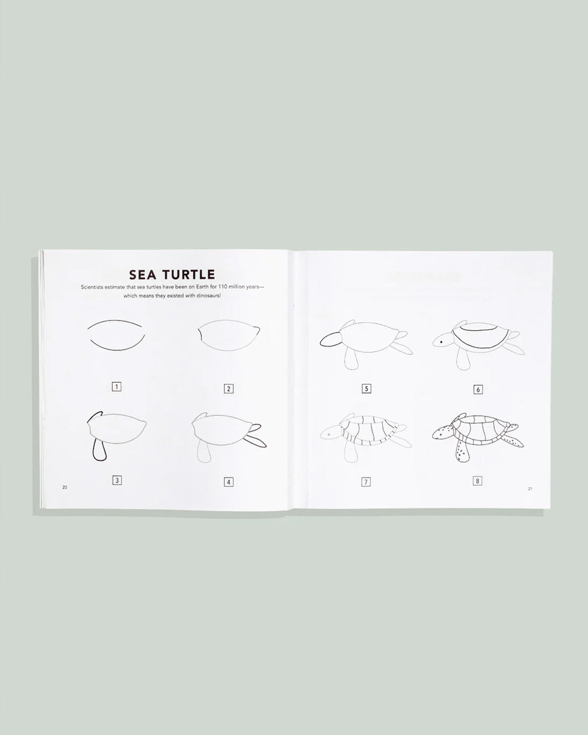 Under the Sea: How to Draw Books for Kids