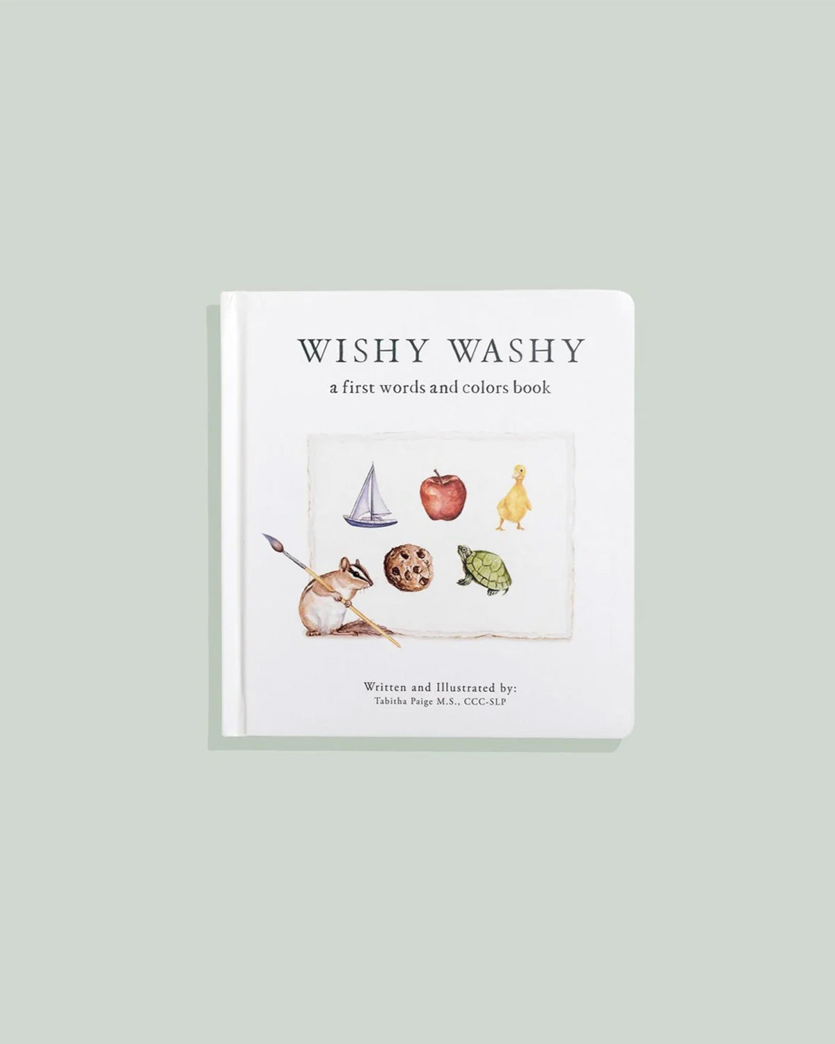 Wishy Washy: A Board Book of First Words and Colors