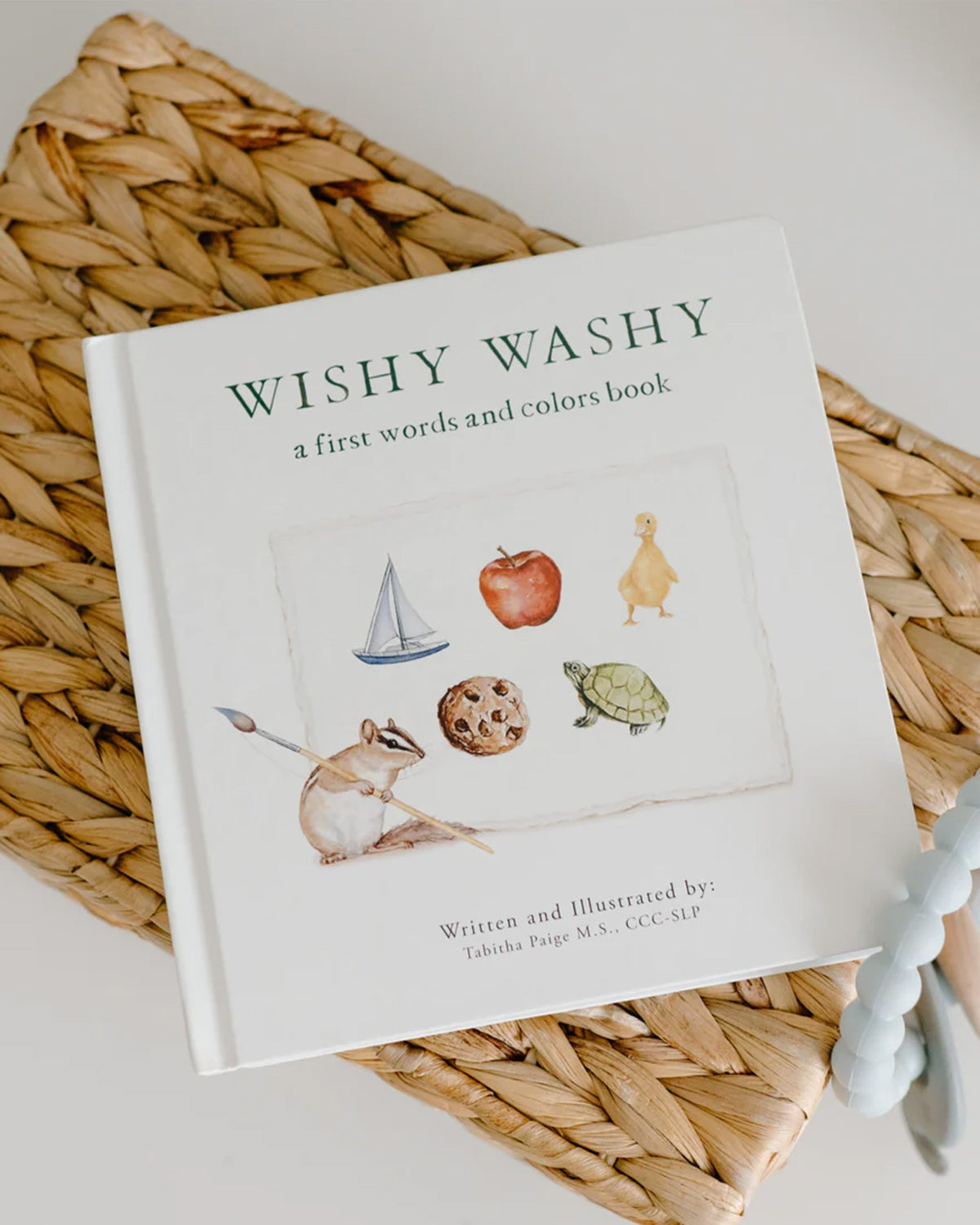 Wishy Washy: A Board Book of First Words and Colors