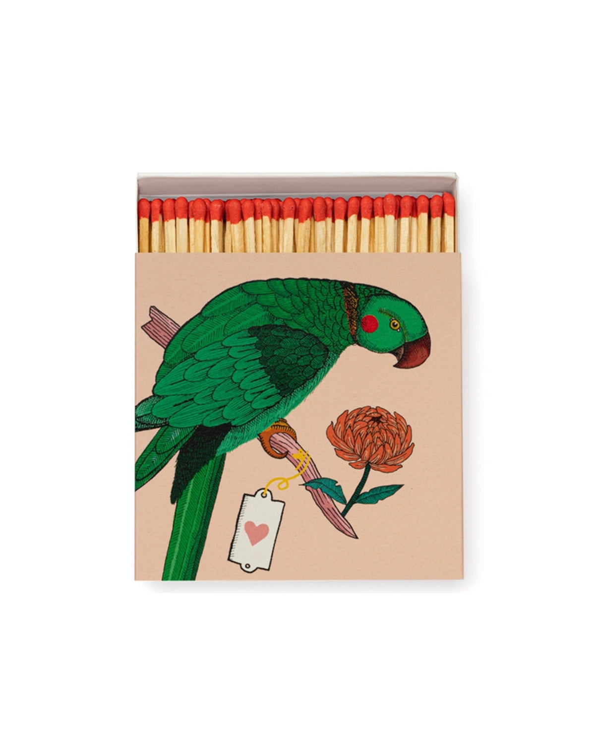 Ariane Parrot Square - Safety Matches <br>Archivist Gallery
