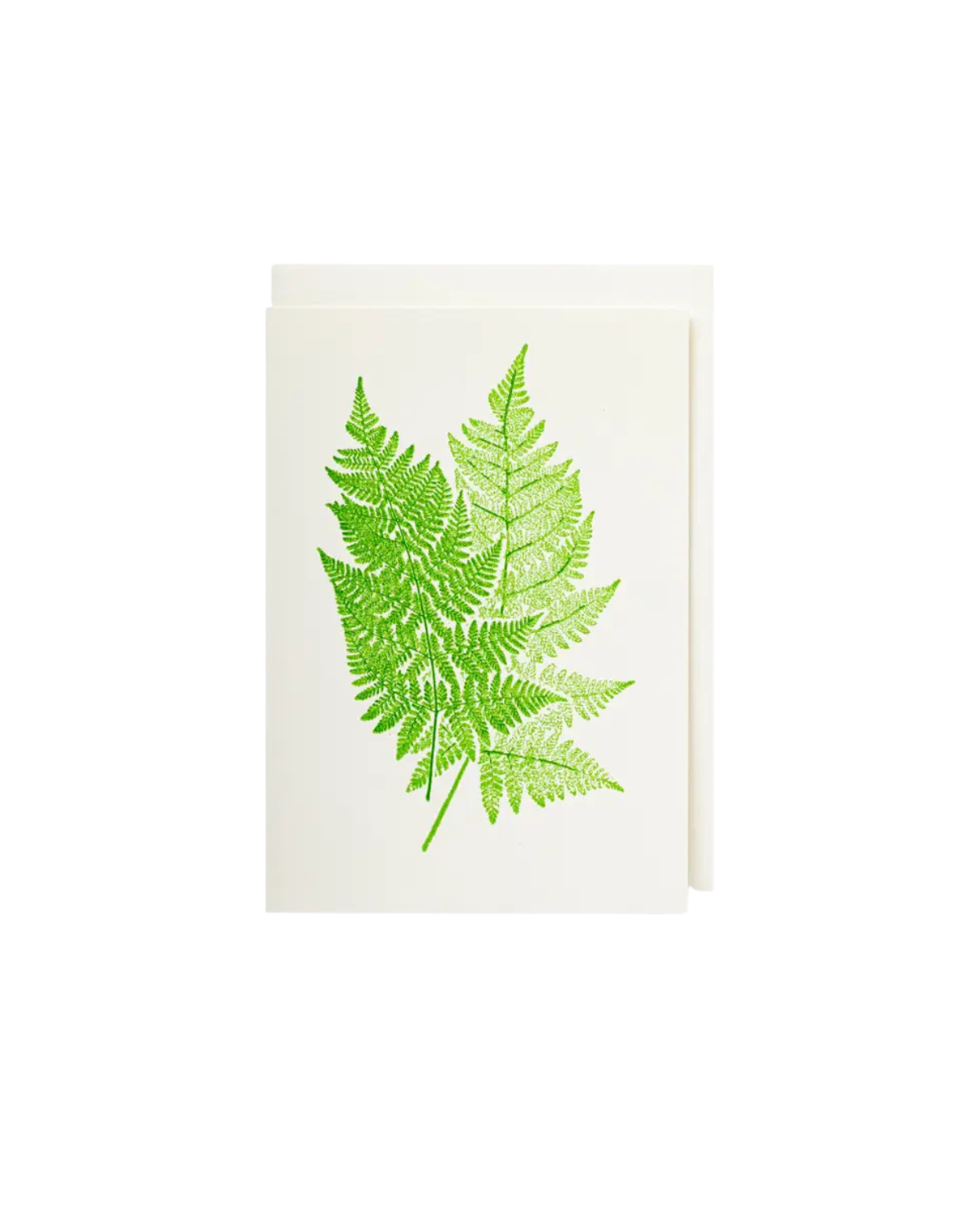Fern Notelet Card <br>Archivist Gallery