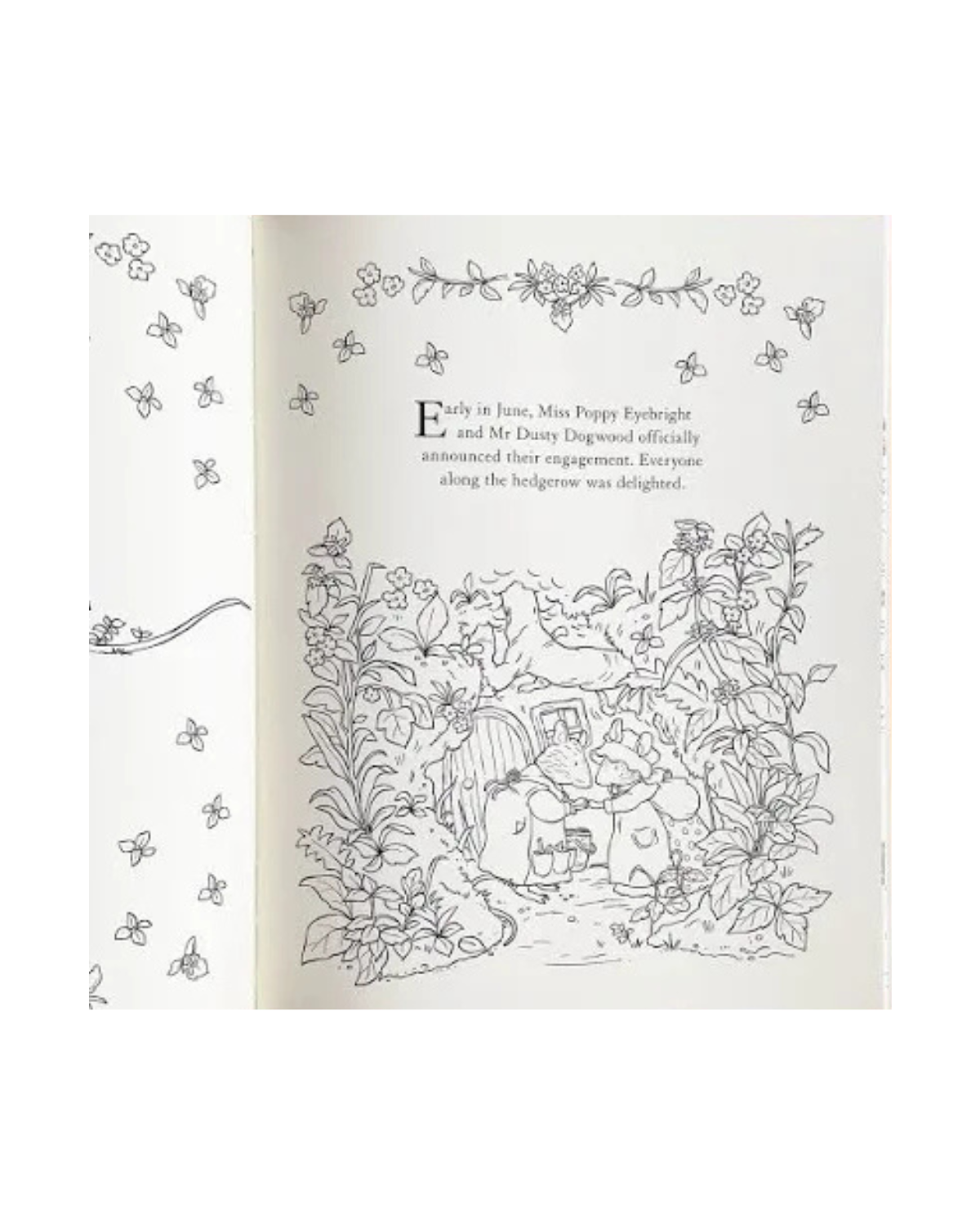 Nature Coloring Book - Brambly Hedge