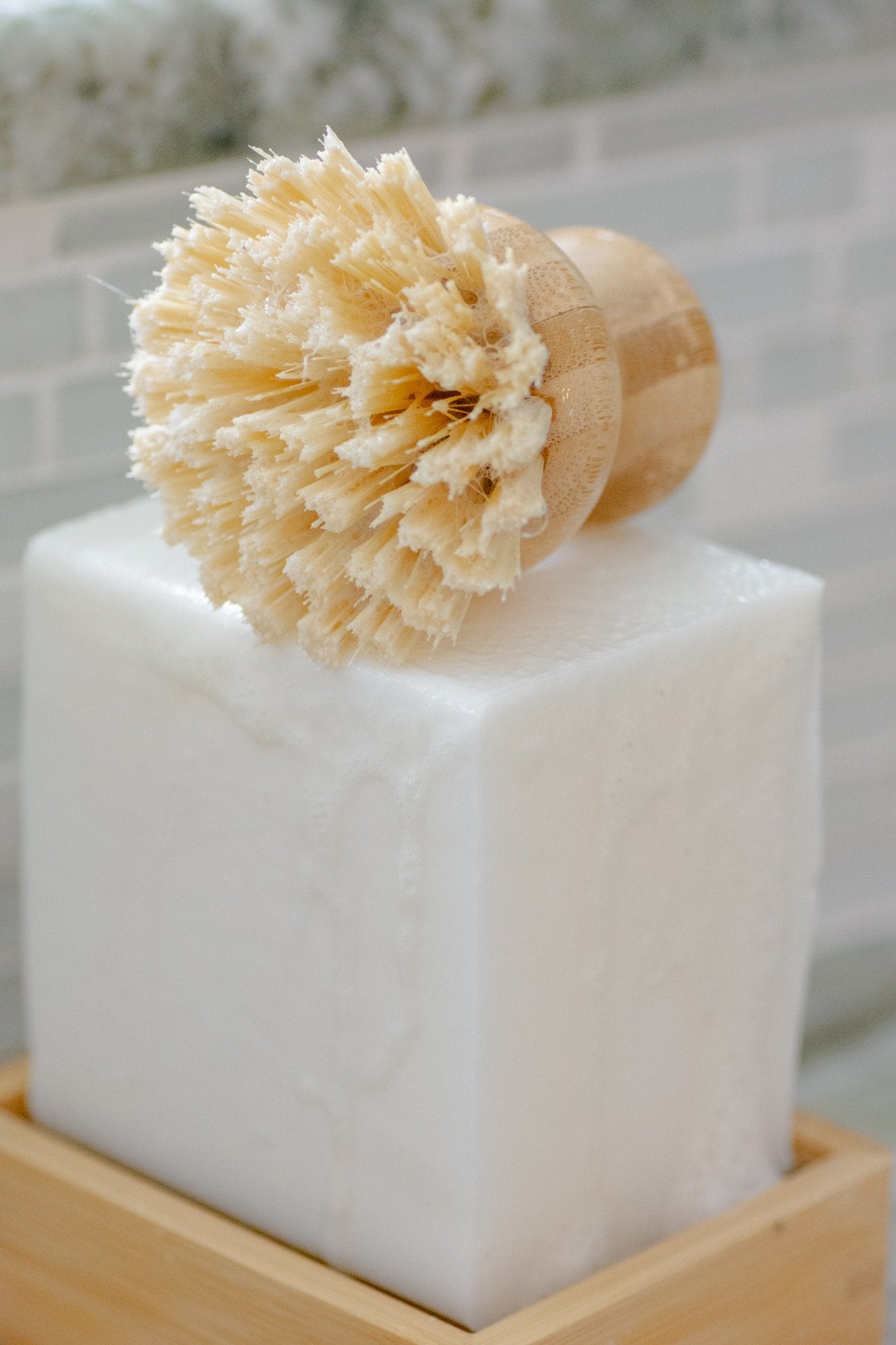 Casa Agave™ Dishwashing & Vegetable Hand Brush<br>No Tox Life