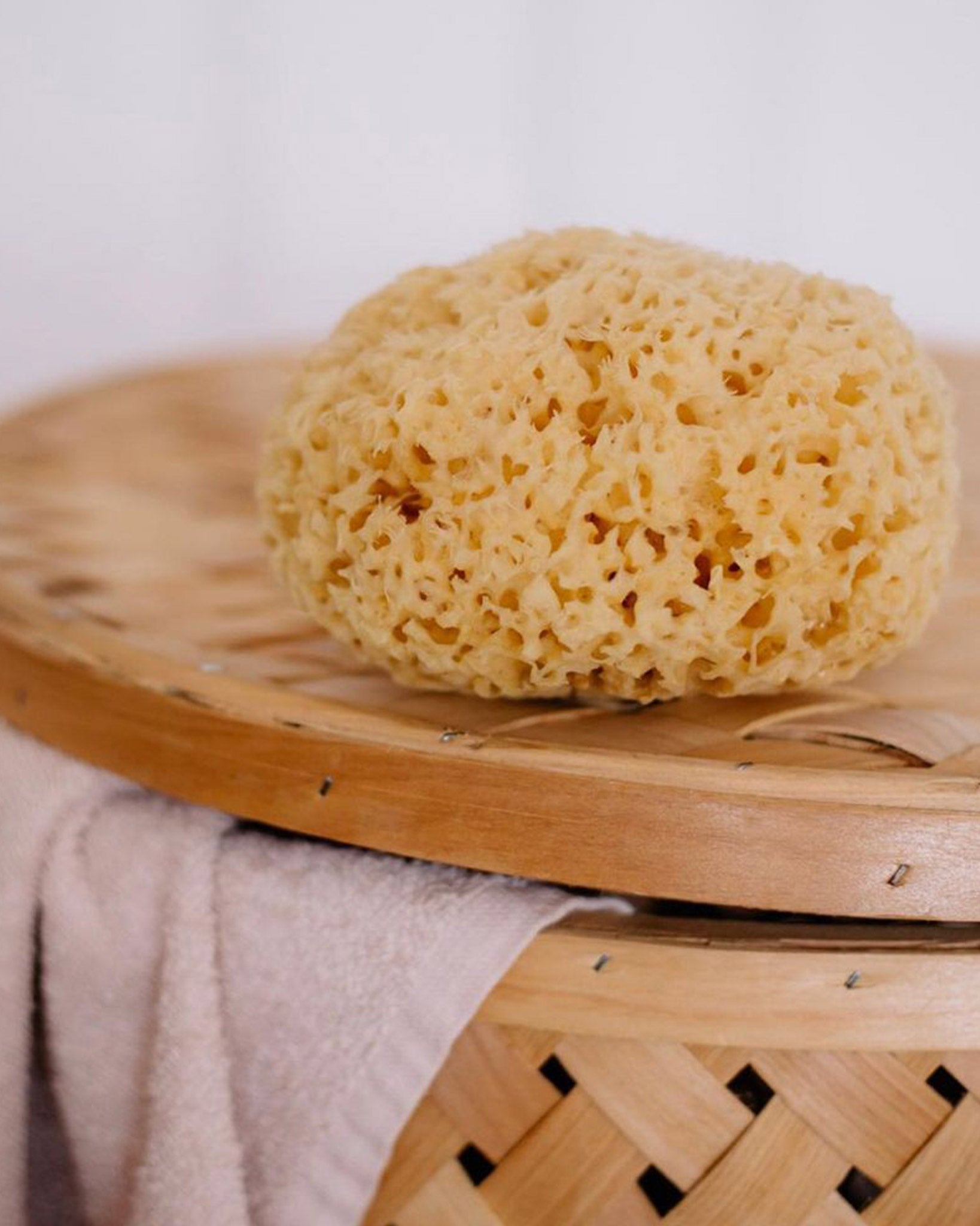 Medium Natural Sea Sponge <br> Croll & Denecke