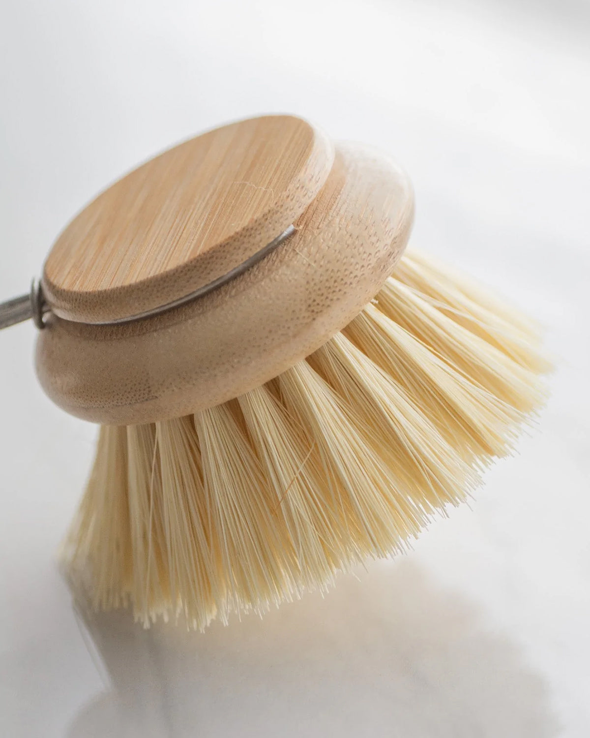 Replacement Head for Long Handle Dish Brush <br>Croll & Denecke