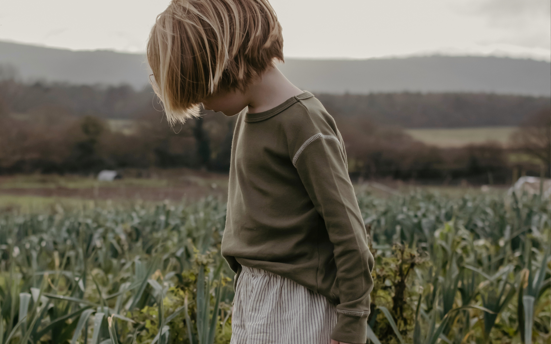 Boy Shirts
