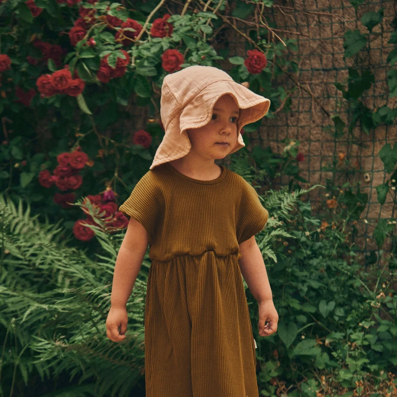 Pivoine Hat <br>Poudre Organic