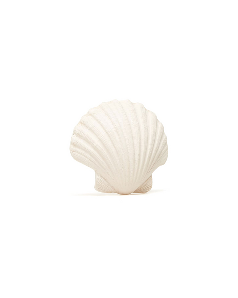 Clam Shell Natural Rubber Teether