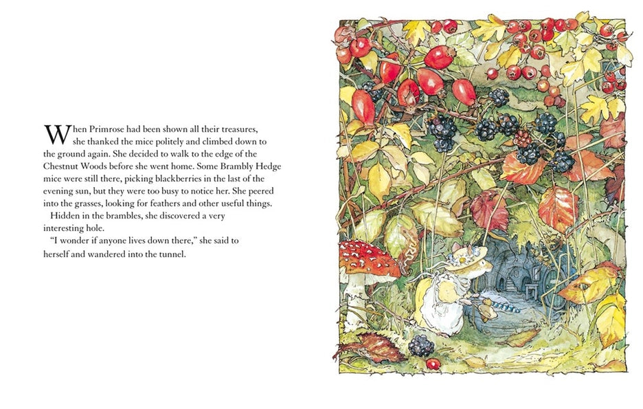 Autumn Story - Brambly Hedge