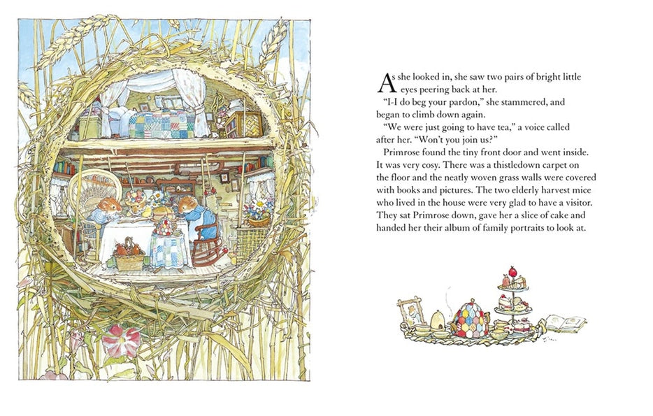Autumn Story - Brambly Hedge