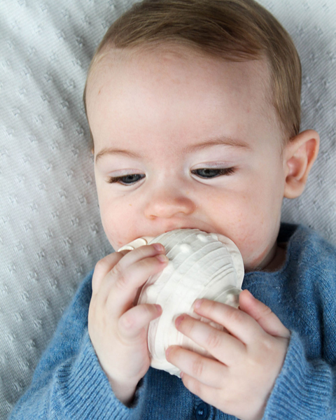 Shell Natural Rubber Teether
