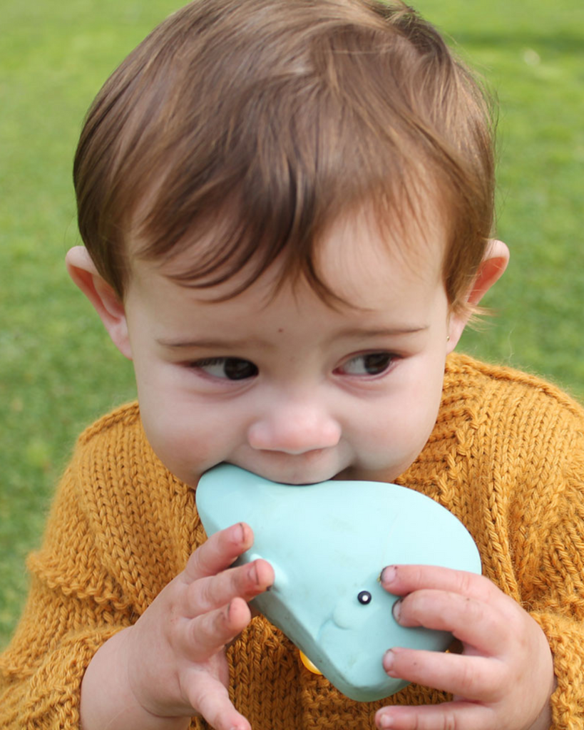 Whales Natural Rubber Teether