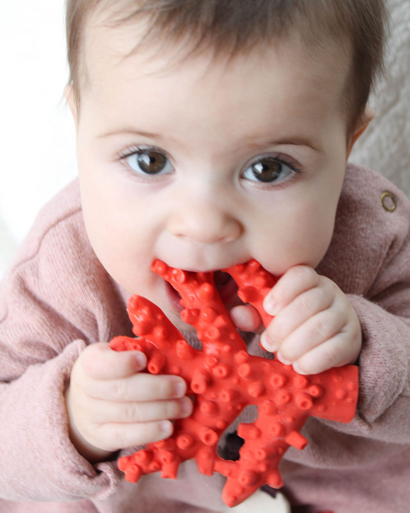 Coral Natural Rubber Teether