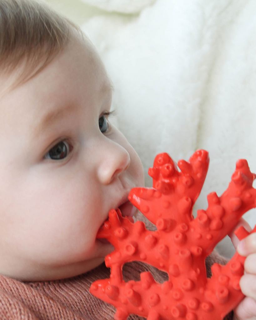 Coral Natural Rubber Teether