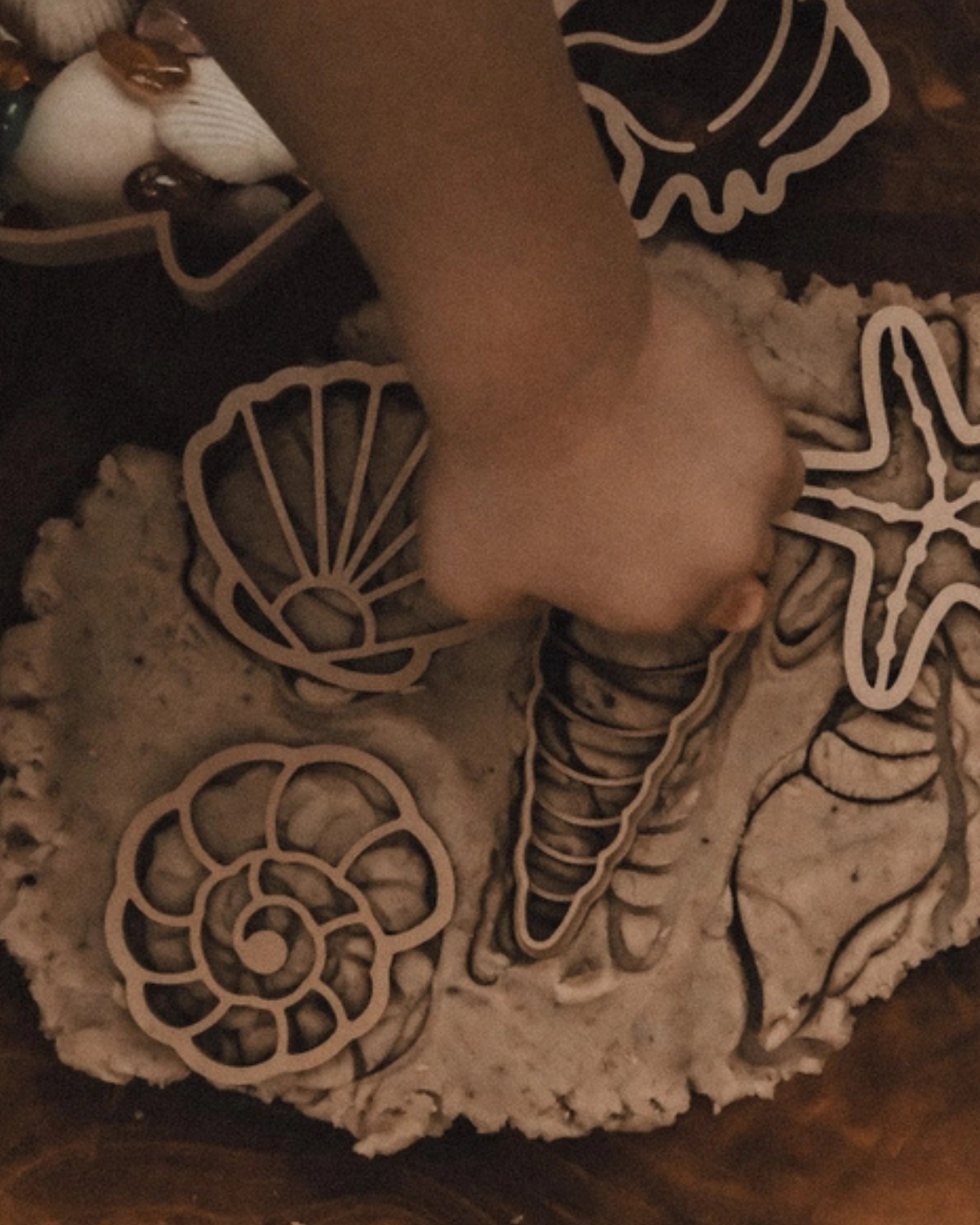 Sea Shell Eco Cutter Set