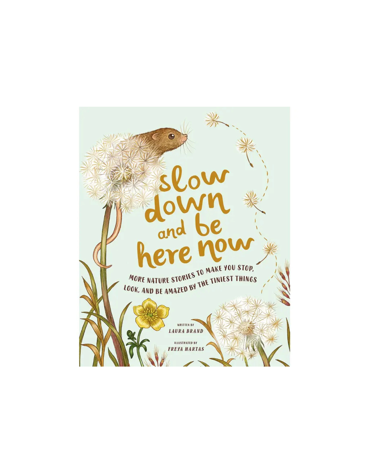 Slow Down and Be Here Now