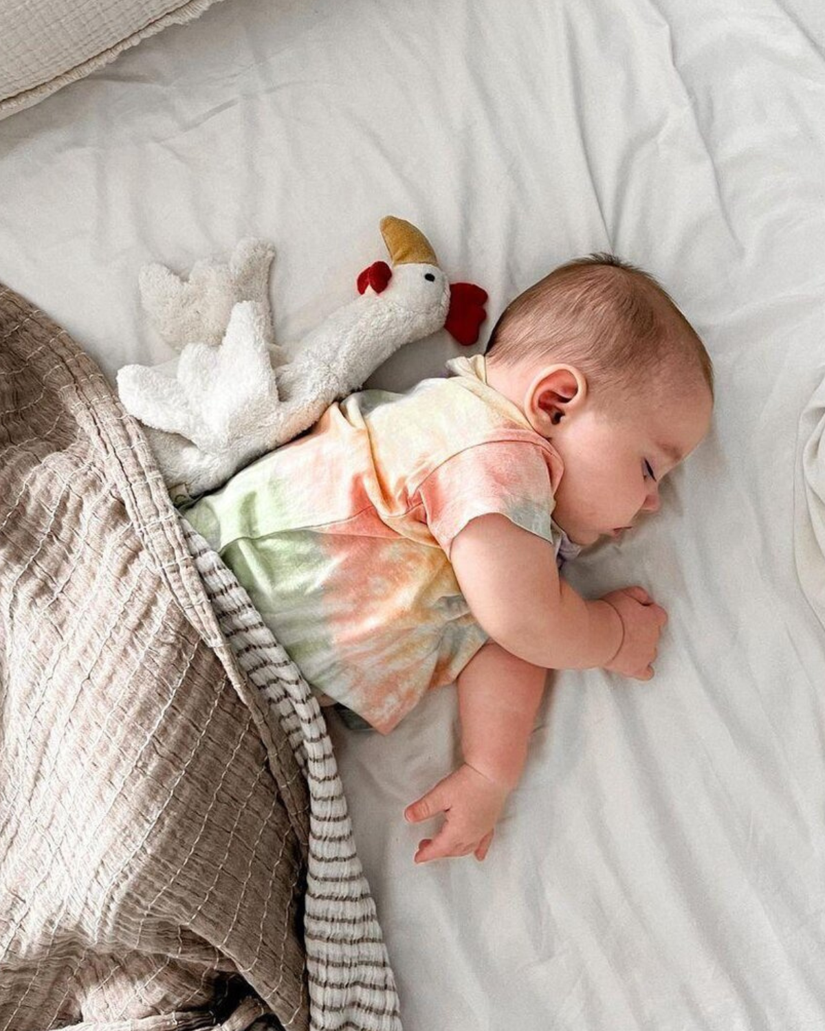 Cuddly Animal Chicken- Small - White <br>Senger