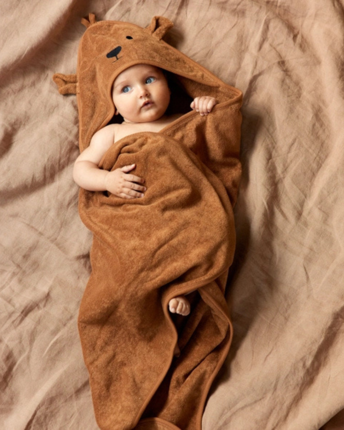 Bear Hooded Towel