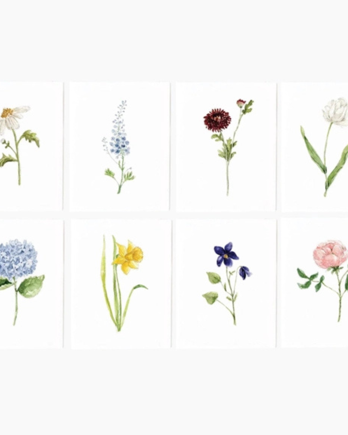 Garden Flowers Notecard Set